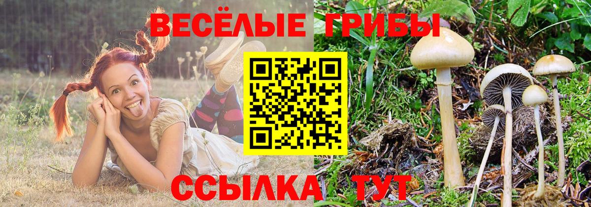 сколько стоит  Псилоцибиновые грибы Psilocybe  Вход с VPN  Жуковский 