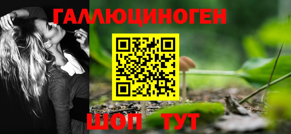 Псилоцибиновые грибы Psilocybine cubensis Жуковский